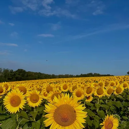 Le Relais Отель 2*